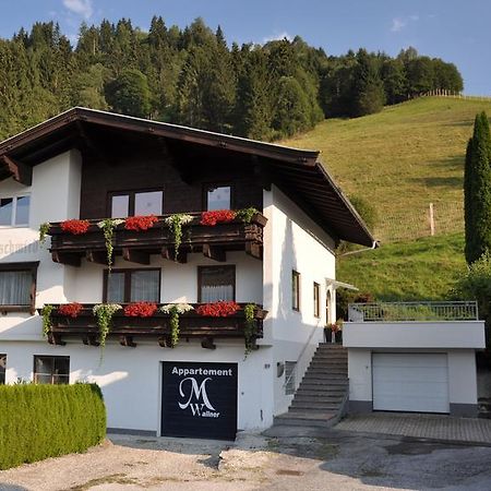 Ferienwohnung Ferienhaus Auschmiede Hollersbach im Pinzgau Exterior foto